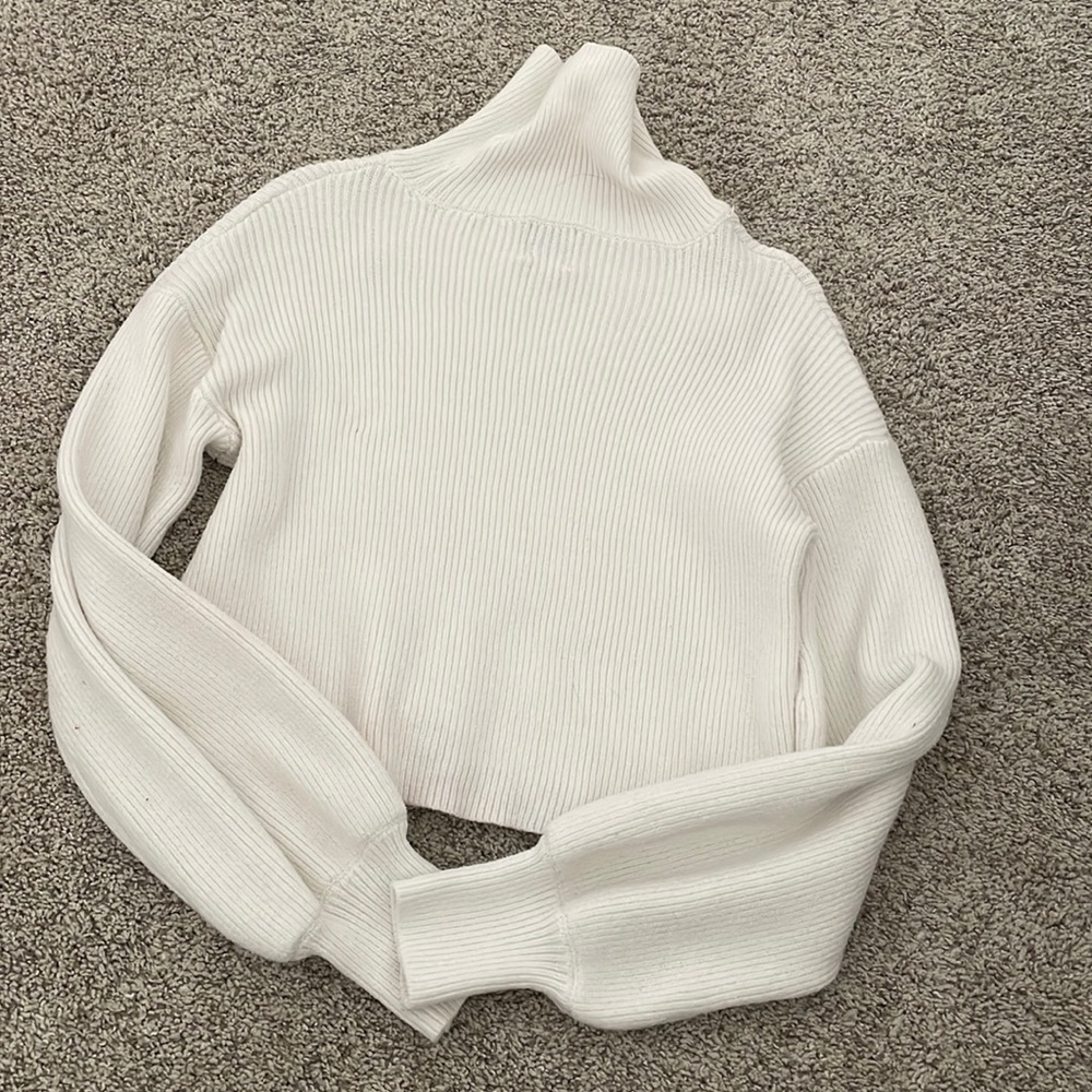 Francesca’s Cropped Turtleneck Sweater